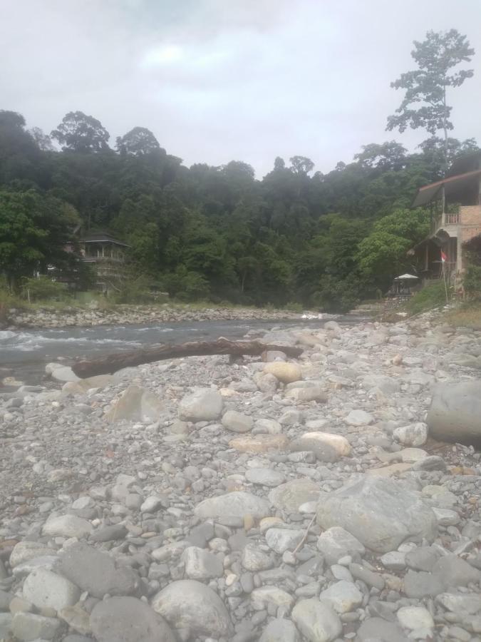 Umiyuki Jungle Tour Only Treking With As Hotel Bukit Lawang Exterior photo