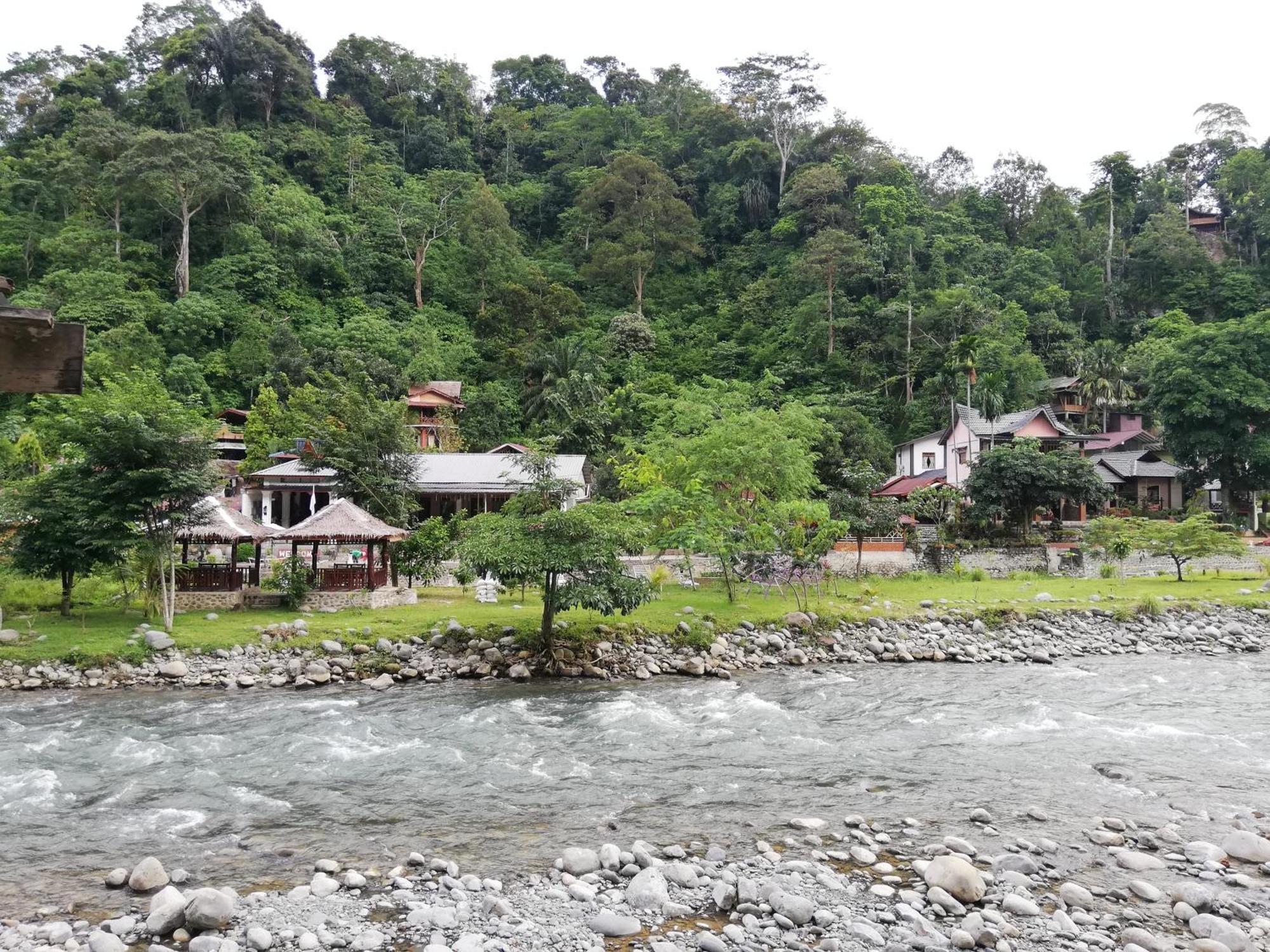 Umiyuki Jungle Tour Only Treking With As Hotel Bukit Lawang Exterior photo